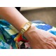 casio 3193*