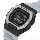 GBX-100TT-8e