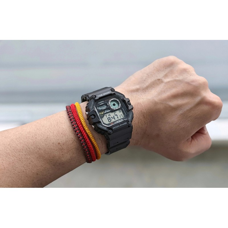 WS-1700H-1A